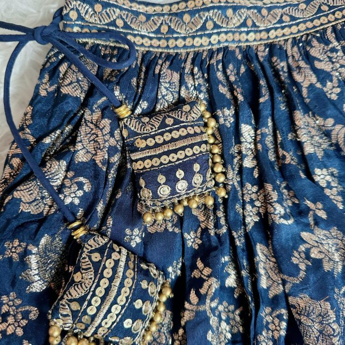 Processed with MOLDIV Navy Blue Chanderi Lehanga With Hand Embroidery On Blouse