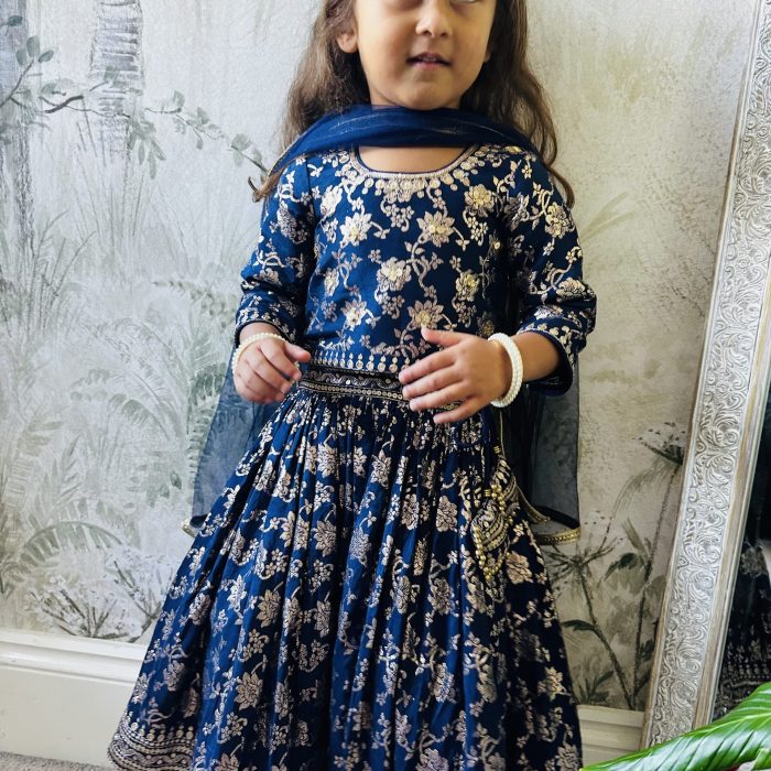 Navy Blue Chanderi Lehanga With Hand Embroidery On Blouse